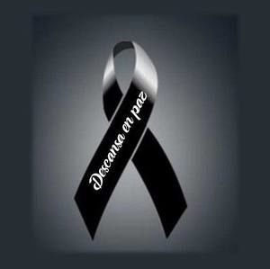 Meet your Posher, Katty